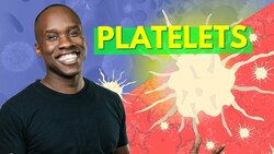 Thrombocyte/Platelet Structure and Function Instructional Video