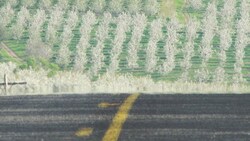 Cherry Orchards and Ice Creme:: Preview Instructional Video