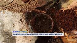 Wyckoff Avenue tenants say more leaks found following leak last week News Clip