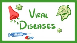 GCSE Biology - What Is a Virus? - Examples of Viral Disease (HIV, Measles & TMV) #36 Instructional Video