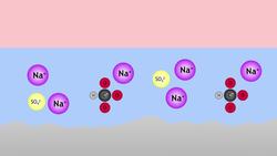 Making Hard Water Soft Instructional Video