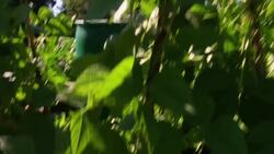Farm Your Yard Kitchen Garden Tour Instructional Video