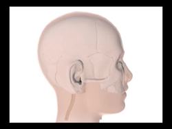 Control of Breathing Instructional Video