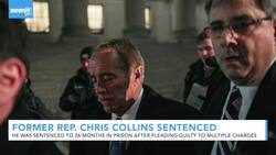 Former Rep. Chris Collins Sentenced To 26 Months In Prison News Clip
