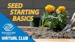 Seed Starting Basics: How To Plant Tomatoes, Basil, & Marigolds Instructional Video