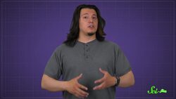 Why Are Periodical Cicadas So ... Periodical? Instructional Video