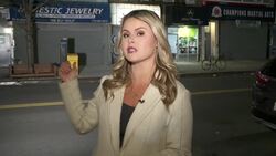 Police: Around $62,000 worth of jewelry stolen from 2 Williamsburg stores in separate incidents News Clip