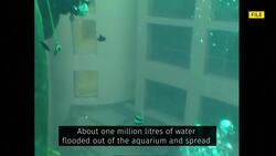 Massive Berlin hotel aquarium bursts News Clip
