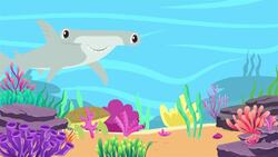 I WONDER - What Job Does A Coral Reef Do? Instructional Video