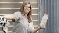 Zookeepers Have to Get Creative to Bottle-Feed Giraffe Calves Instructional Video