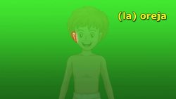 Intro Spanish Lesson: Parts of the Body Part I Instructional Video