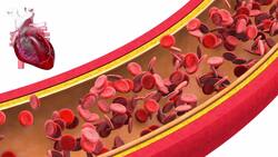 Why Don't You Get Blood Clots When You Sleep But Get It When You Sit For Long Hours? Instructional Video