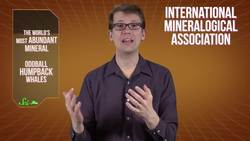 The World's Most Abundant Mineral, and Oddball Whales Instructional Video