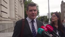 Irish Government says one-off payments for businesses affected by US tariffs are 'not sustainable' News Clip