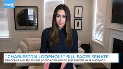 Lawmaker Still Pushing 'Charleston Loophole' Bill Years After Shooting News Clip