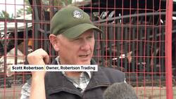Owner of Robertson Trading surveys wildfire damage that burned historic building to the ground News Clip