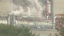 EDF Energy Nuclear Power Station News Clip