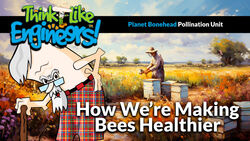 IPM: Combating Pathogens and Improving Bee Nutrition Instructional Video