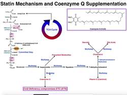 Lipid Biosynthesis Mechanism of Statins & Inhibiting CoQ Synthesis Instructional Video