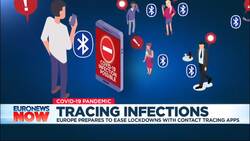 Coronavirus: French MPs approve COVID-19 tracing app despite privacy concerns News Clip