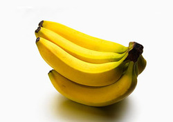 Mineral (biología) Instructional Video