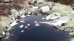 Drone - People clearing out plastic litter News Clip