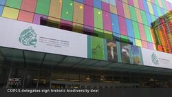COP15 delegates sign historic deal to protect nature News Clip
