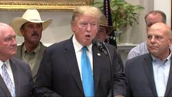 Trump pledges $16bn to farmers hurt by trade war Instructional Video