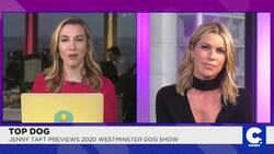 ‘Super Bowl for Dogs’ Returns to New York City News Clip