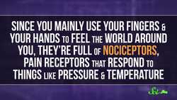 Why Are Paper Cuts So Painful? Instructional Video