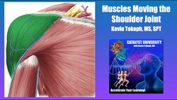 Muscles that Move the Glenohumeral Joint | Origin, Insertion, Action, & More Instructional Video