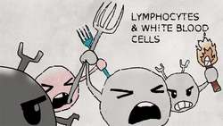 Why bats don't get sick | Arinjay Banerjee Instructional Video