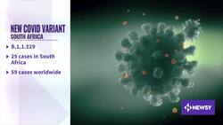 New COVID Variant Detected In South Africa News Clip