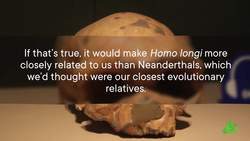 Meet Dragon Man, Humans’ Possible New Relative | SciShow News Instructional Video