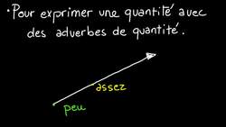 4 French basic adverbs of quantity - French grammar 13 Instructional Video