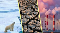 Las VERDADERAS CONSECUENCIAS del CAMBIO CLIMÁTICO Instructional Video