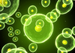 Organic chemistry Instructional Video