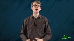 Why Ferns Have More Chromosomes Than You Instructional Video