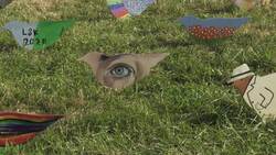 10,000 wooden birds celebrate reopening of Wentworth Woodhouse News Clip