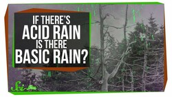 If There's Acid Rain, Is There Basic Rain? Instructional Video