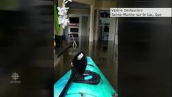 Residents return to devastated homes amid historic floods in Quebec News Clip