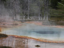 Cambios en la Tierra: introducción Instructional Video