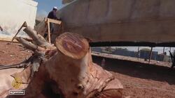 Israeli blockade: Gaza shipbuilders struggle to get supplies News Clip