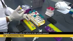 Team of researchers calls for reforms to lab animal research News Clip