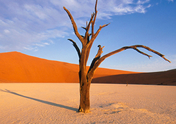 Deserts Instructional Video