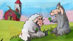 Where Does This Story Take Place? Instructional Video