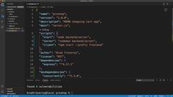 Nodemon and Concurrently Setup Instructional Video