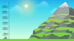 How do we Classify Climates? Crash Course Geography Instructional Video