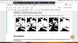 Evaluate the impact of an AI application used in the real world. (case study) : Working with Flower Images: Case Study - Part 3 Instructional Video