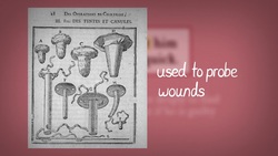 Hamlet 2.2 Word Nerd: Tent Instructional Video